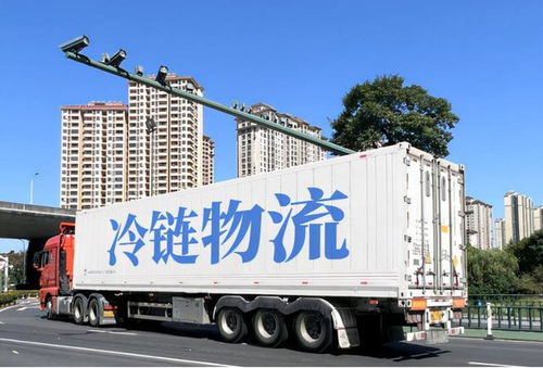 大數(shù)據(jù)背景下農(nóng)產(chǎn)品冷鏈物流模式的缺點分析