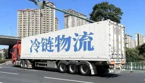 價值鏈再造視角下的農產品冷鏈物流發展淺析